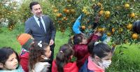 ARAS, ÖĞRENCİLERLE MANDALİNA TOPLADI