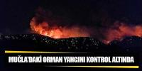 Bodrum’da yangın kontrol altında