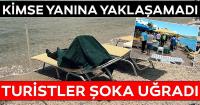 Bodrum'da Denize giren turistlere büyük şok!