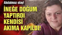 Akılalmaz olay! İneğe doğum yaptırdı kendisi öldü! 