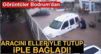 Bodrum'da tüyler ürperten görüntü! 