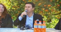 Bodrum Mandalina Hasat Festivali Başlıyor