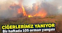 Bir haftada 105 orman yangını 