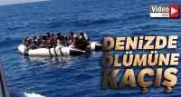 Denizde ölümüne kaçış!