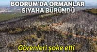 Bodrum'da siyaha bürünen ormanlar havadan görüntülendi
