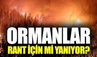 Muğla’da ormanlar rant için mi yakılıyor 