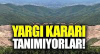 Kanada’dan Kaz Dağları’na ilişkin açıklama  Kaynak 