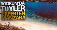 Bodrum'da tüyler ürperten manzara
