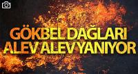 Gökbel Dağları alev alev yanıyor