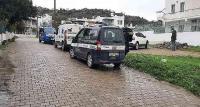 Bodrum'da köpekler zehirlendi