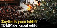 'Zeytinlik yasa teklifi' TBMM'de kabul edildi