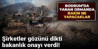 Şirketler gözünü dikti, bakanlık onayı verdi! 