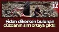 Fidan dikerken bulunan cüzdanın 20 yıl önce çalındığı ortaya çıktı