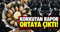 Midyeyle ilgili korkutan rapor ortaya çıktı! 