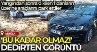 Yangından sonra dikilen fidanların üzerine araçlarını park ettiler