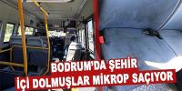 Bodrumluyu virüs değil, mikrop öldürecek!