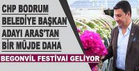 Bodrum’a begonvil festivali geliyor