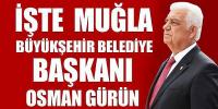 Muğla seçim sonuçları