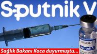5 maddede Sputnik V aşısı: Ne kadar etkili?