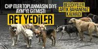 Katliam yasasının iptal talebi reddedildi! 