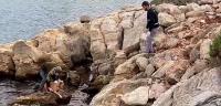BODRUM BELEDİYESİ, CAN DOSTLARI İÇİN BAŞARILI KURTARMA OPERASYONUNA İMZA ATTI