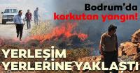 Bodrum'da makilik alanda yangın