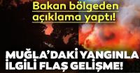 Bakan Pakdemirli'den yangın açıklaması