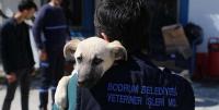 BODRUM BELEDİYESİNE HAYTAP’TAN TAM NOT