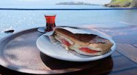 Bodrum Belediyesi'nden Akyarlar'a yeni belediye kafe
