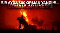 Bir ayda 300 orman yangını çıktı...