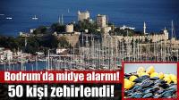 Bodrum’da 50 tatilci zehirlendi