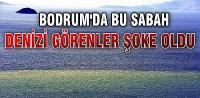 Bodrum'da denizin rengi kahverengi oldu