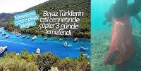 Bodrum'da Denizden cep telefonu da çıktı tekne motoru da