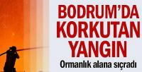 Bodrum’da korkutan yangın