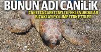 Bunun adı canilik!