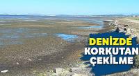 Denizde korkutan çekilme!