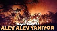 Ekipler bölgede! Alev alev yanıyor