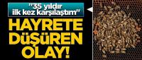 Muğla'da  '35 yıldır bu işi yapıyorum, ilk kez karşılaştım'