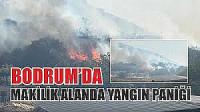 Bodrum’da makilik yangını başladı