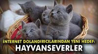 Dolandırıcıların yeni hedefi hayvanseverler