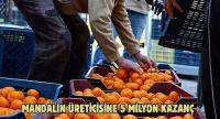 Mandalin Üreticisine 5 Milyon Kazanç