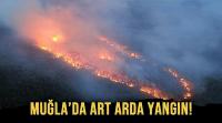 Muğla'nın 3 ilçesinde art arda orman yangını!