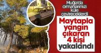 Muğla'da maytap ile ormanı yaktılar