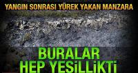 Bodrum'da yanan ormanlık alan havadan görüntülendi