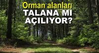 Bazı alanlar orman sınırları dışına çıkartıldı
