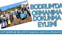 Bodrum’da ormanıma dokunma eylemi