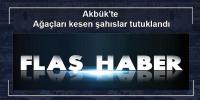 Akbük'te ağaçları kesen şahıslar tutuklandı