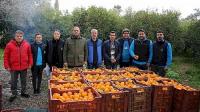 Belediyenin Mandalina Alımı Sürüyor