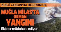 Muğla’da ikinci büyük orman yangını