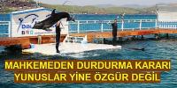 BELEDİYENİN KARARINA DURDURMA